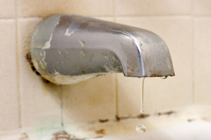 moldy faucet